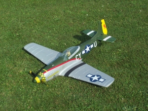 MS PZ P-51 k